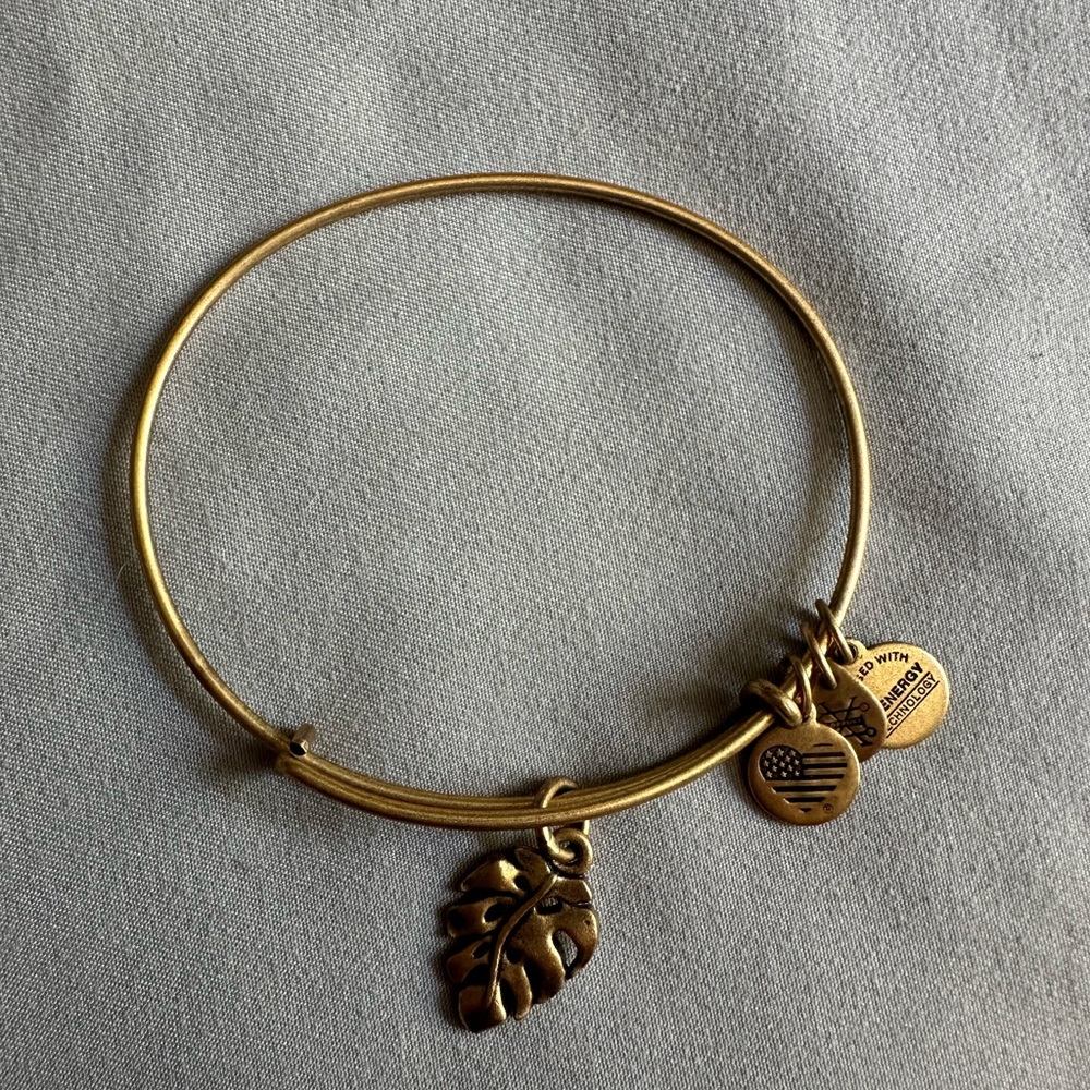 Alex and Ani bracelet